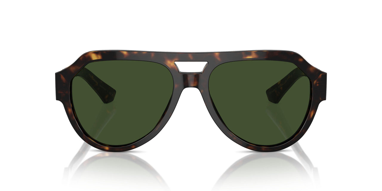 502/71 - Tortoise - Dark Green
