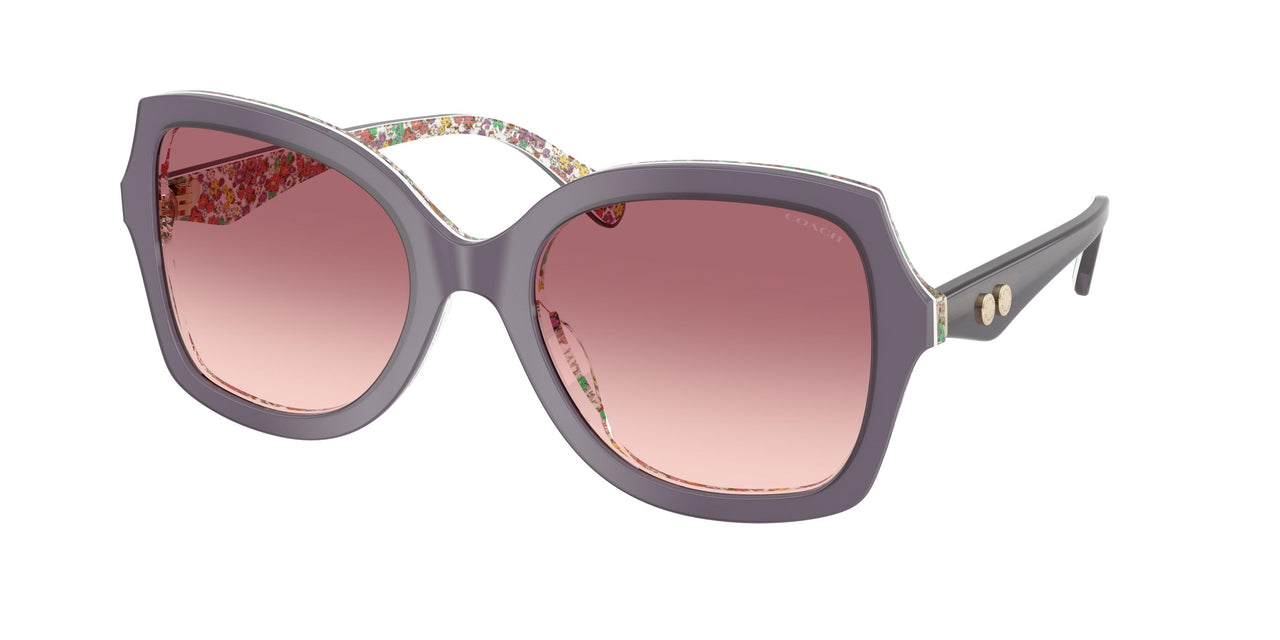 Coach Cw225 8410U Sunglasses