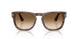 120851 - Tortoise - Gradient Brown