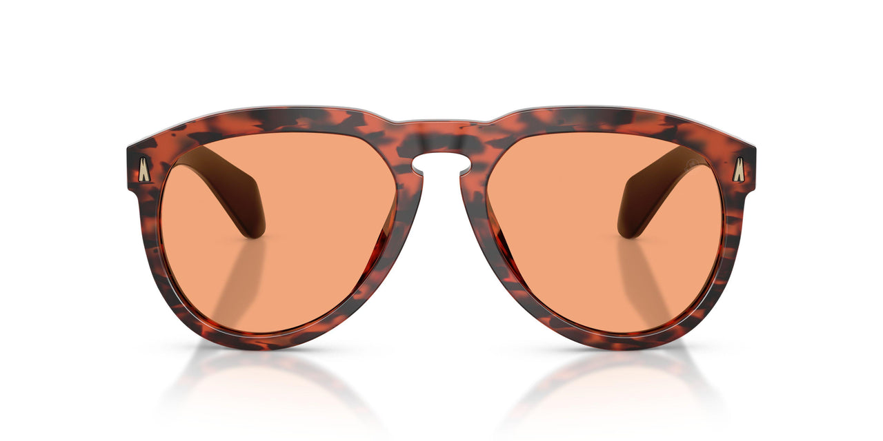 303674 - Tortoise - Solid Orange