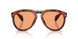 303674 - Tortoise - Solid Orange