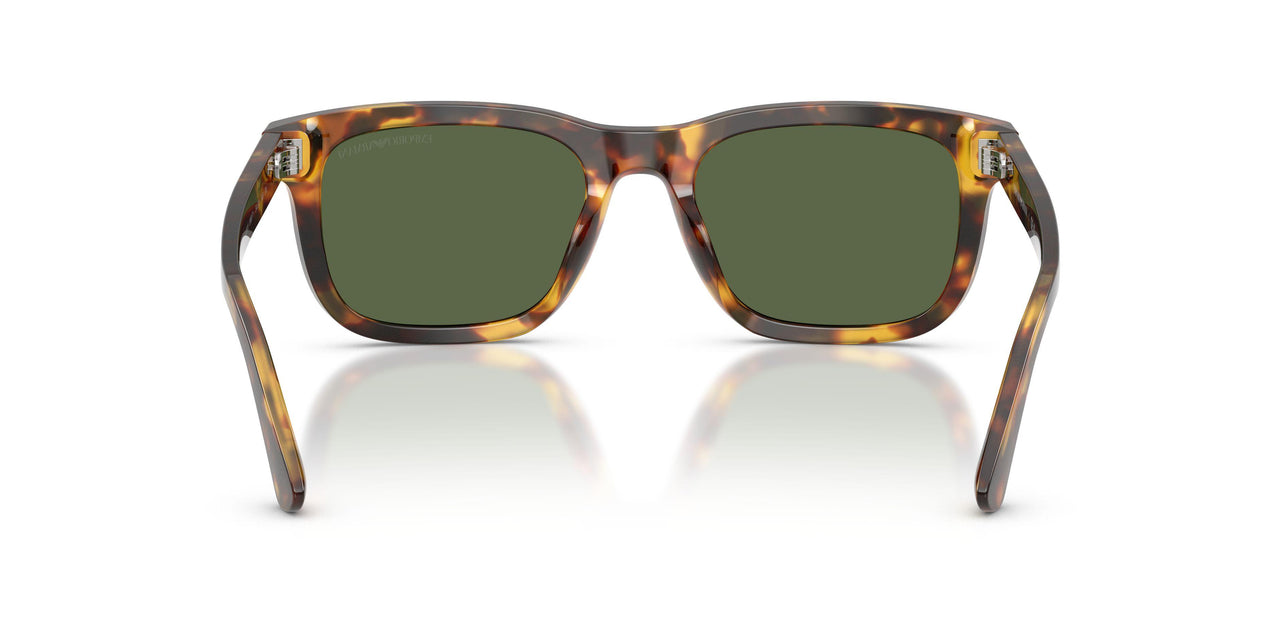 599371 - Brown - Dark Green