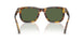 599371 - Brown - Dark Green