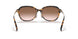512013 - Tortoise - Brown Gradient