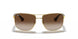001/13 - Gold - Brown Gradient