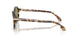 623214 - Tortoise - Green