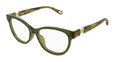 010 - Green/Havana - Transparent