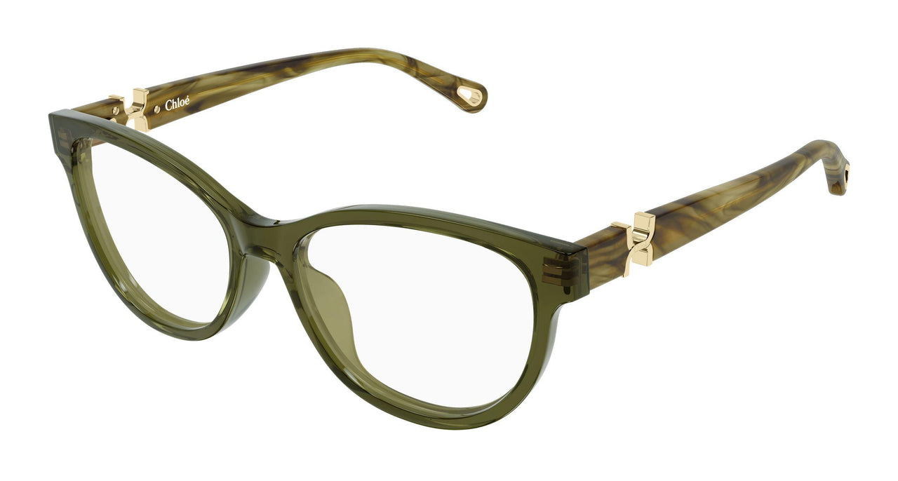 010 - Green/Havana - Transparent