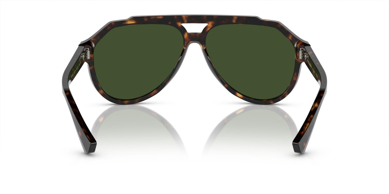 502/71 - Tortoise - Dark Green