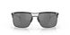 604802 - Black - Prizm Black Polarized