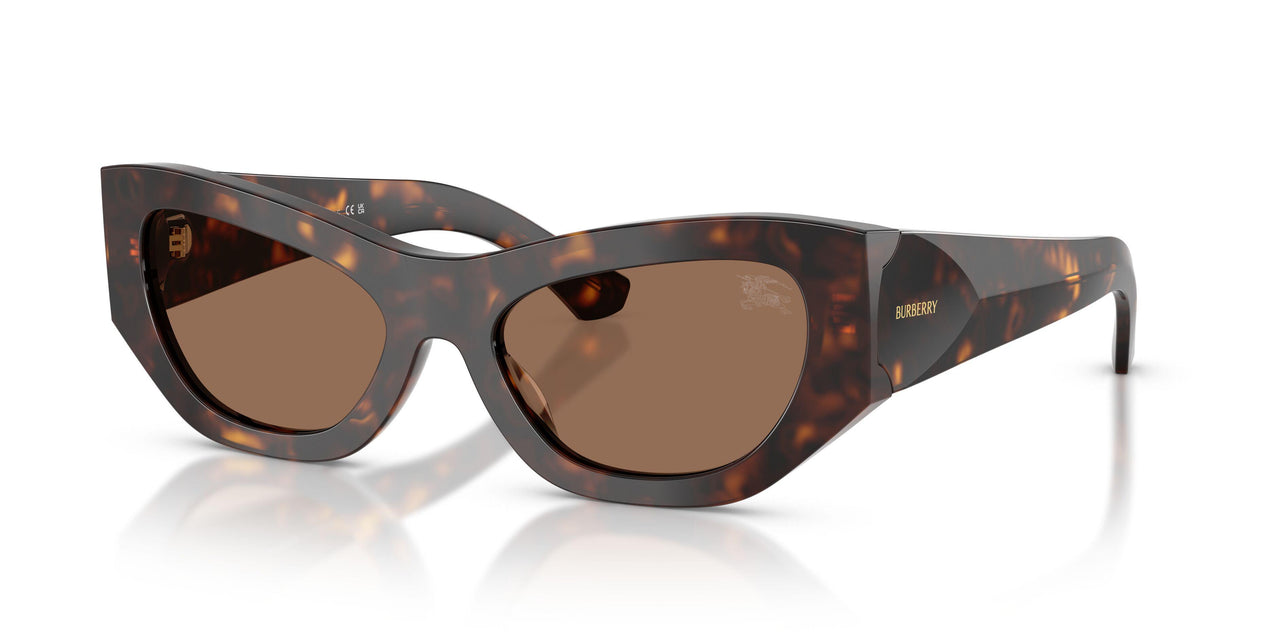 300273 - Brown - Dark Brown