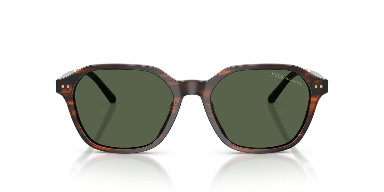 63159A - Tortoise - Polar Green