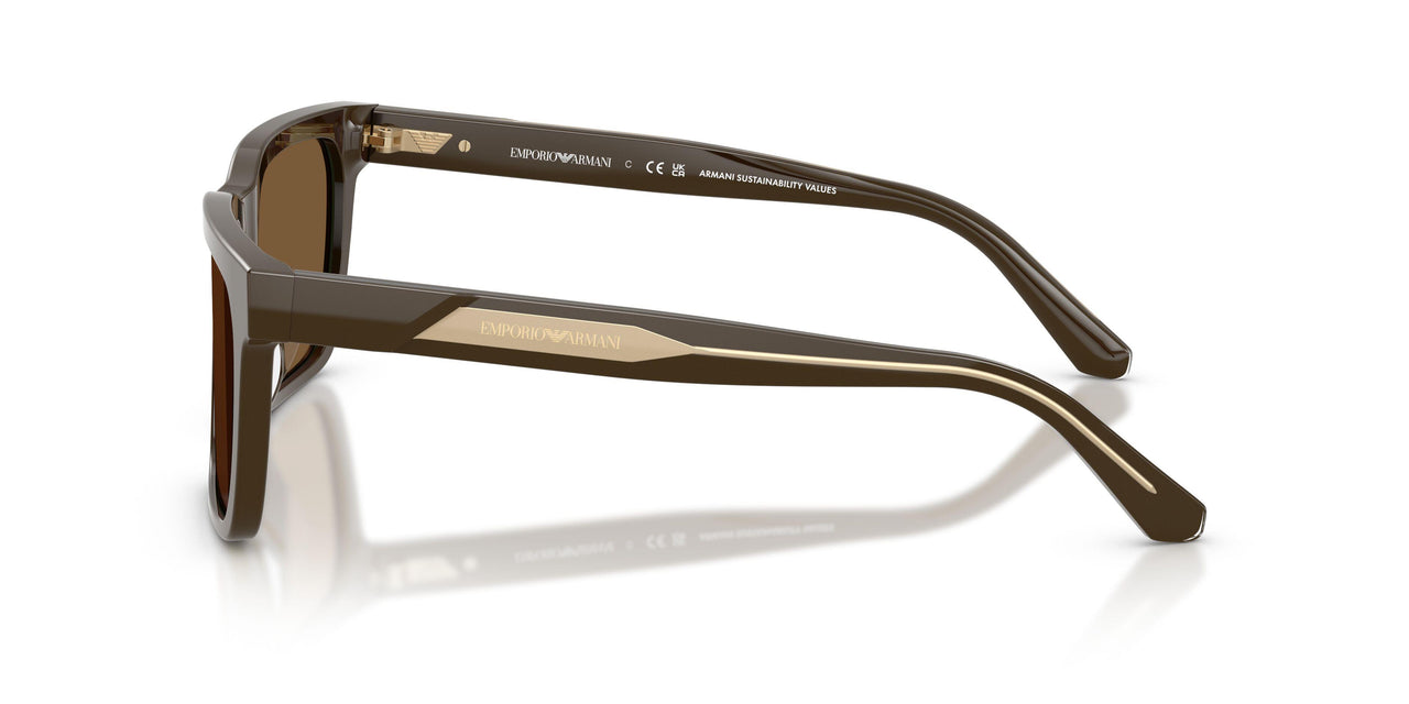630773 - Brown - Brown
