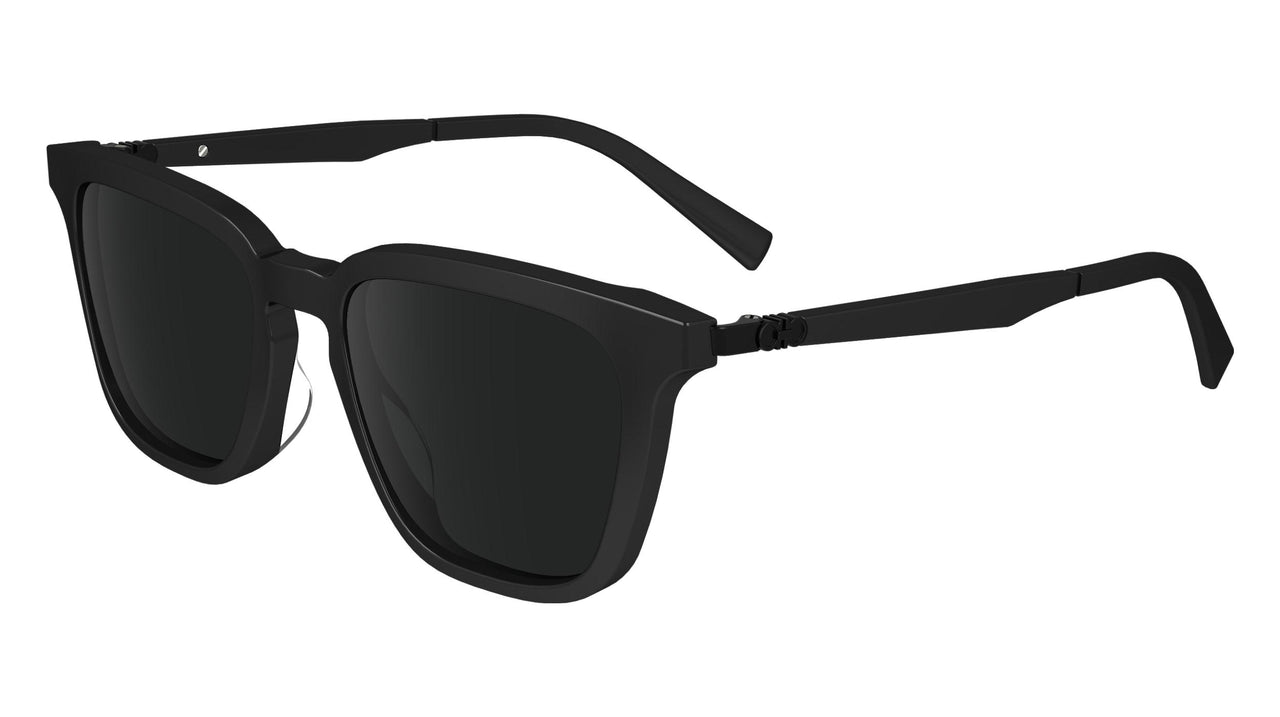 FERRAGAMO SF1100S Sunglasses