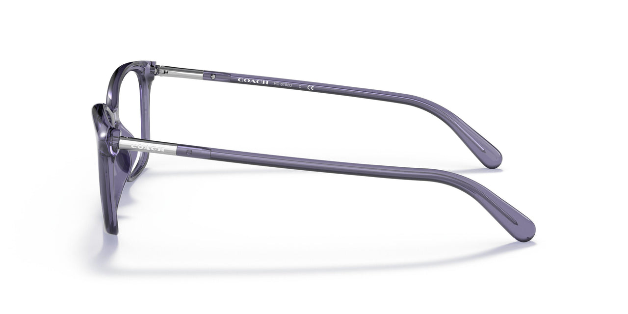 5665 - Violet
