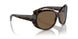 100973 - Tortoise - Brown