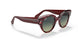 1323BH - Havana - Green Gradient