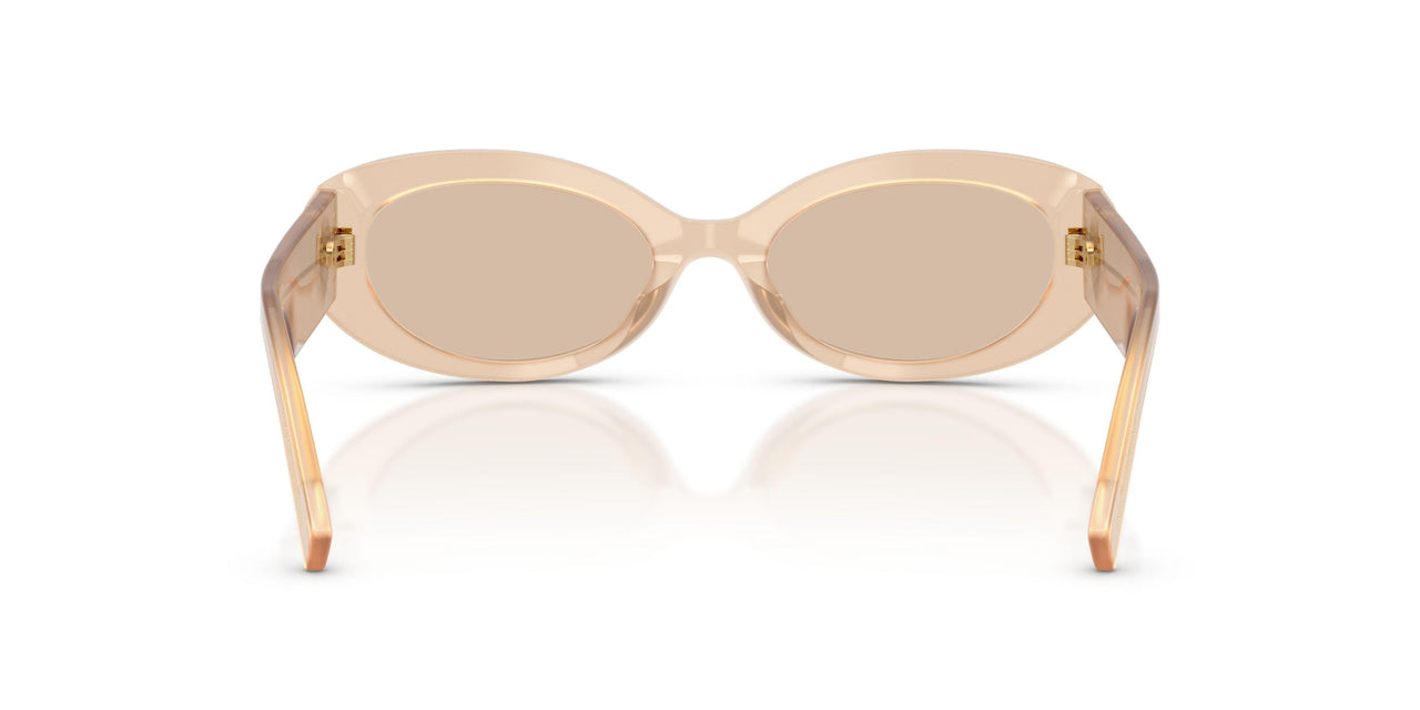 308993 - Brown - Light Brown