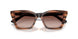 626613 - Brown - Gradient Brown
