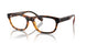 3002 - Brown