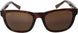 10 - Shiny Dark Havana - Hcl Bronze