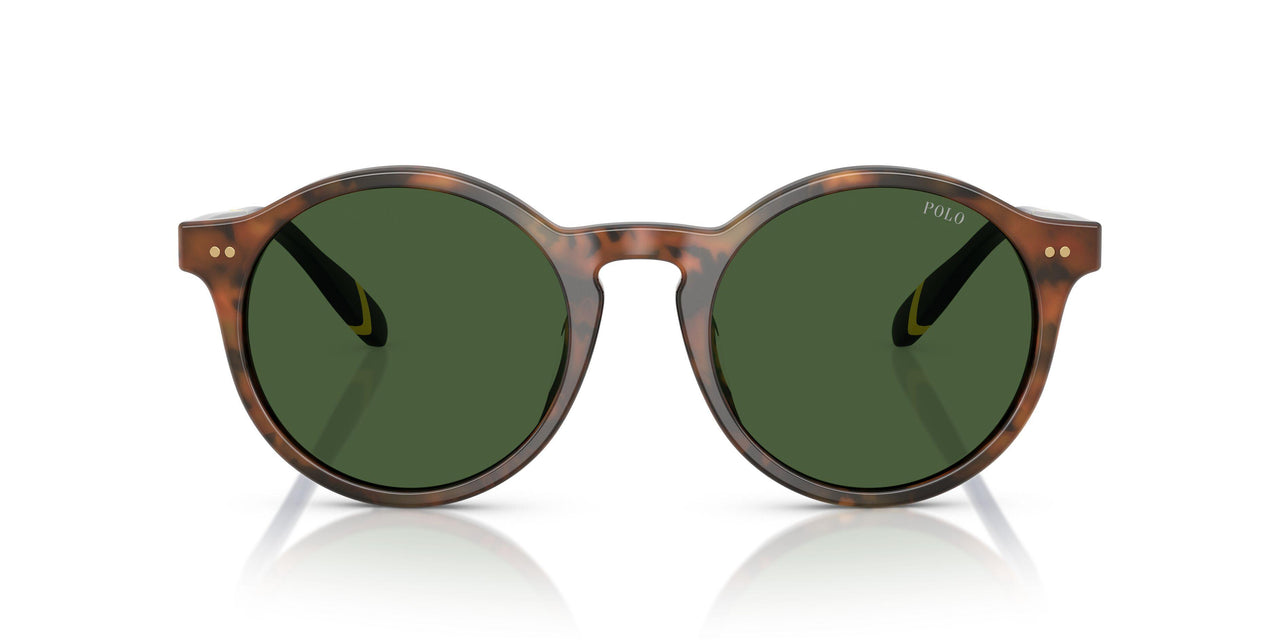 562571 - Tortoise - Bottle Green