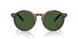 562571 - Tortoise - Bottle Green