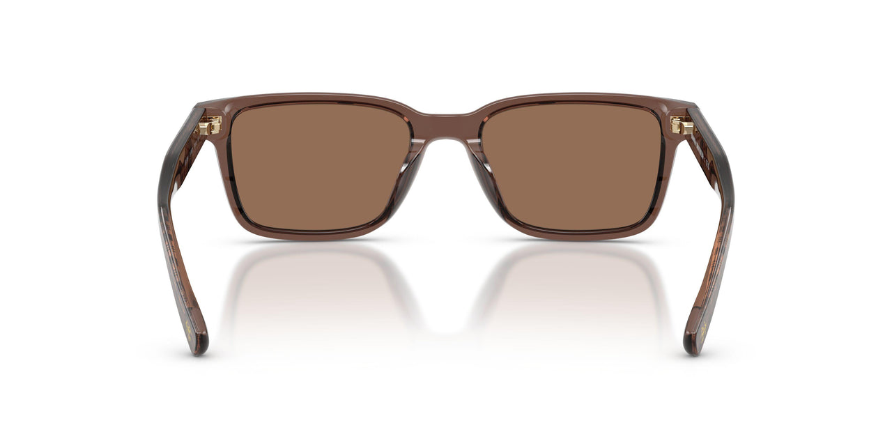 617673 - Brown - Brown