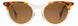 STATE Optical Co. AUGUSTASW Sunglasses