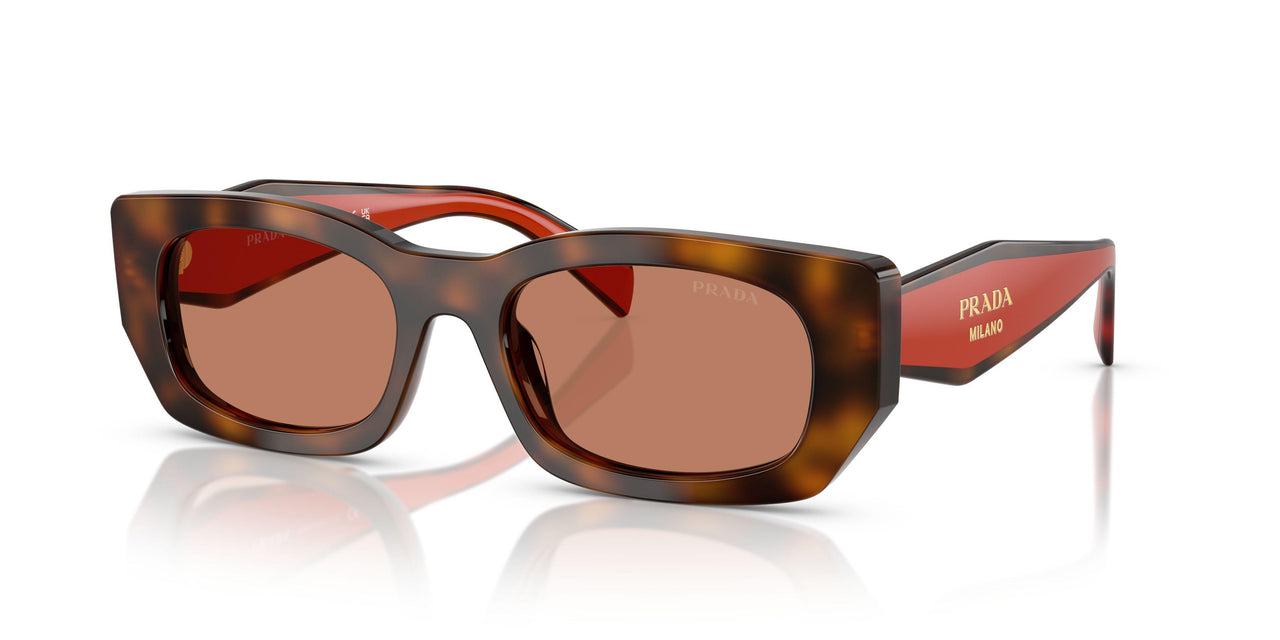 01K90Q - Tortoise - Brown