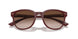 610113 - Red - Gradient Brown