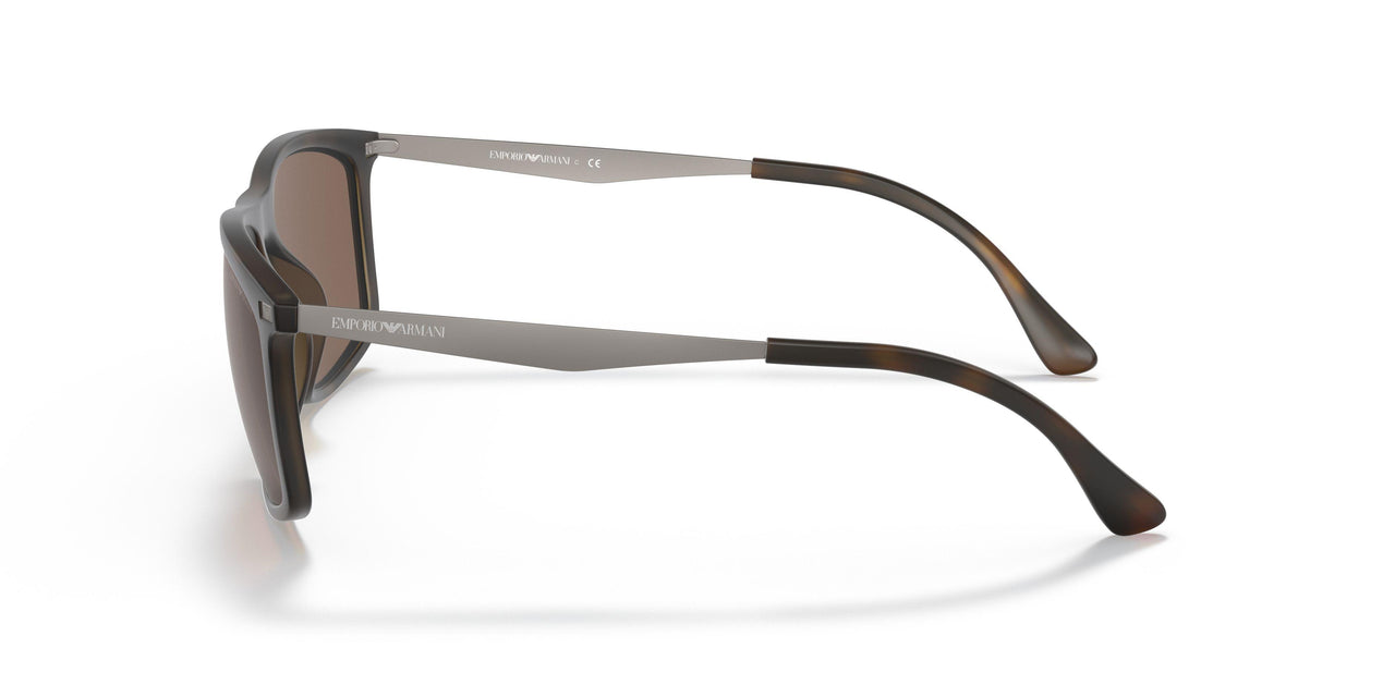 500273 - Havana - Dark Brown