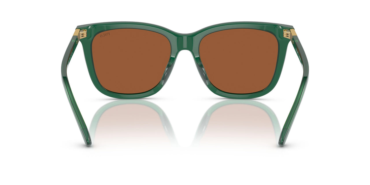 619573 - Green - Brown