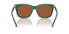 619573 - Green - Brown