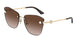 Jimmy Choo 4004HB Sunglasses