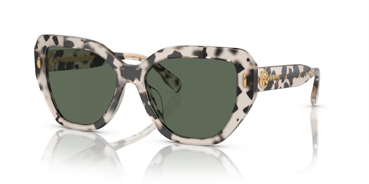 195171 - Tortoise - Dark Green