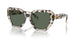 195171 - Tortoise - Dark Green