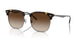 710/13 - Tortoise - Brown