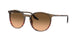 Ray-Ban 2204 Sunglasses