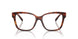 8002 - Tortoise
