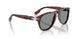 124256 - Havana - Pink Gradient Blue