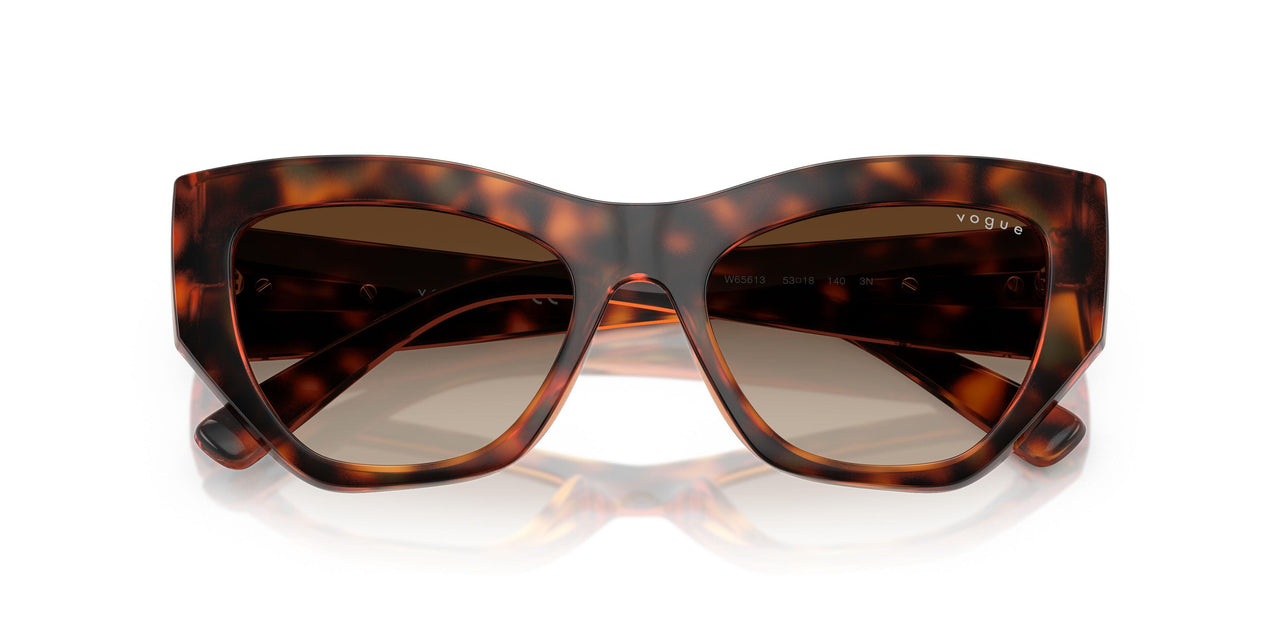 W65613 - Brown - Gradient Dark Brown