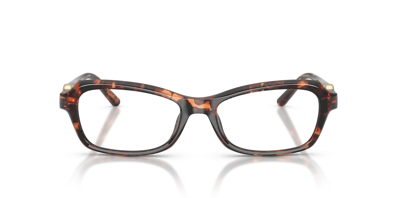 4031 - Tortoise