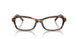 4031 - Tortoise