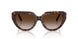 80153B - Tortoise - Brown Gradient