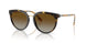 3854T5 - Havana - Polar Brown Gradient