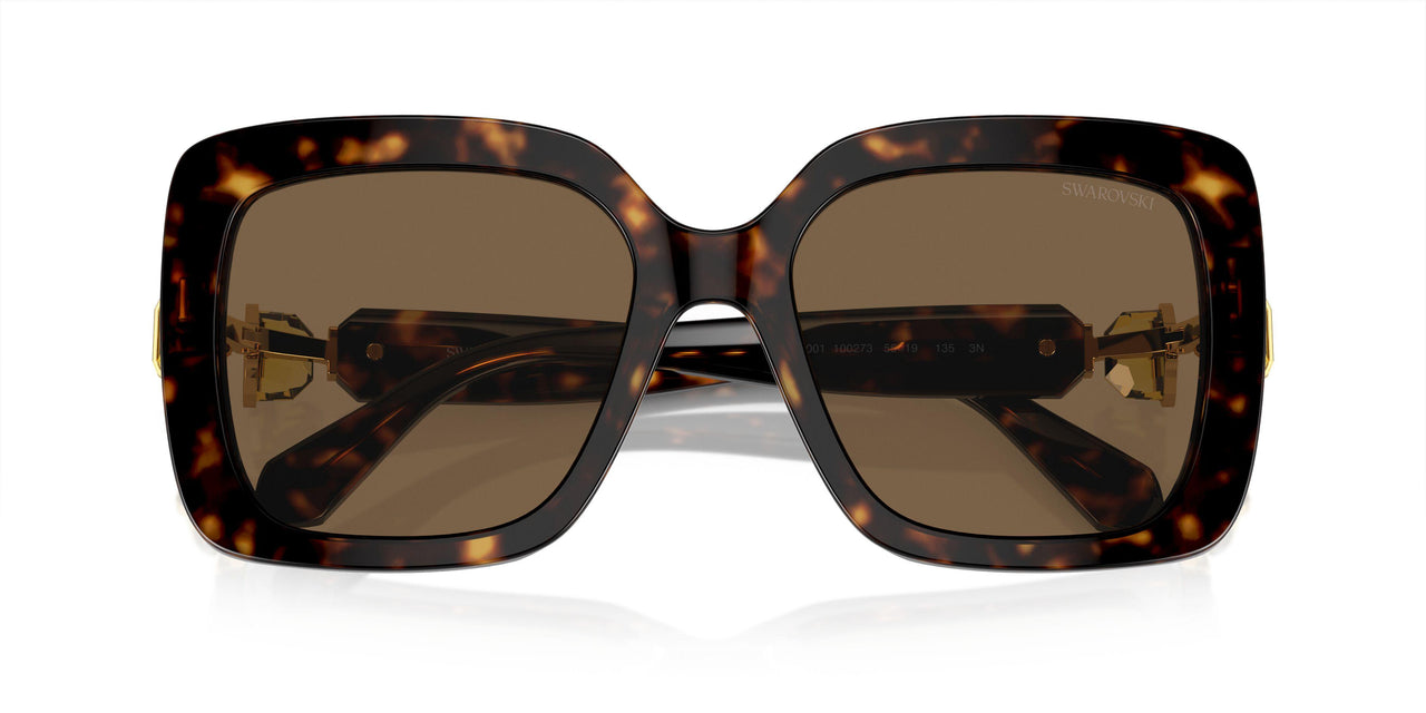 100273 - Tortoise - Dark Brown
