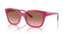 313514 - Purple - Pink Gradient Brown