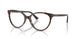 5002 - Tortoise