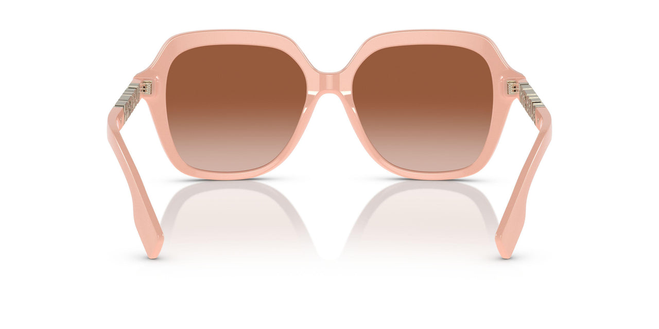 406113 - Pink - Brown Gradient